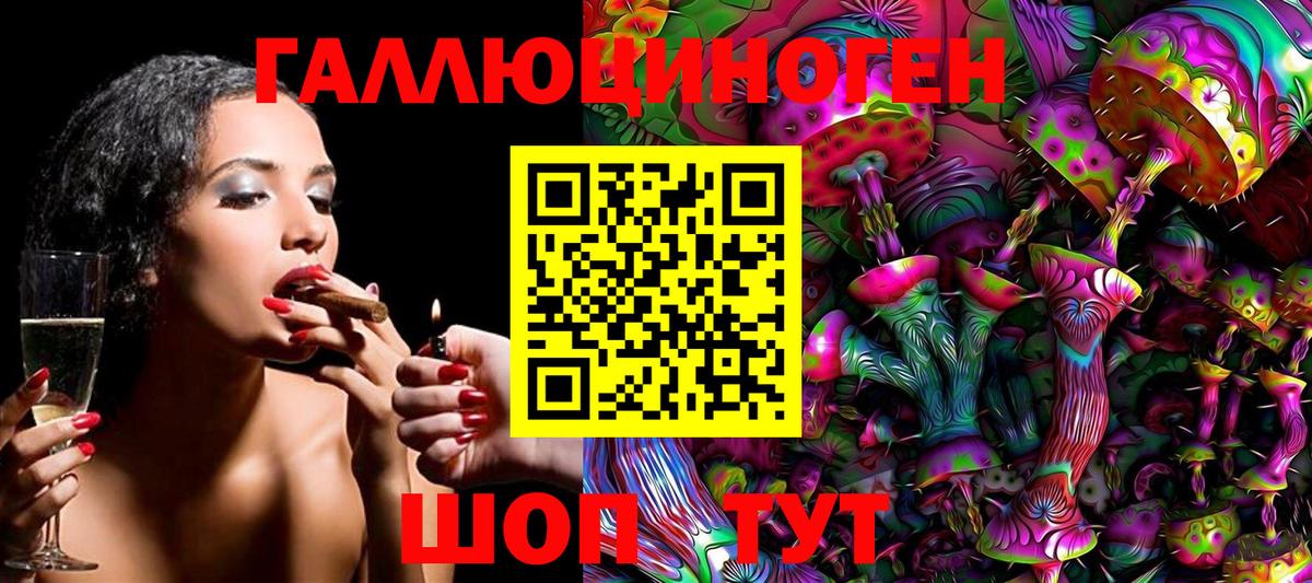 Псилоцибиновые грибы Psilocybine cubensis  Вход с VPN  Тимашёвск 