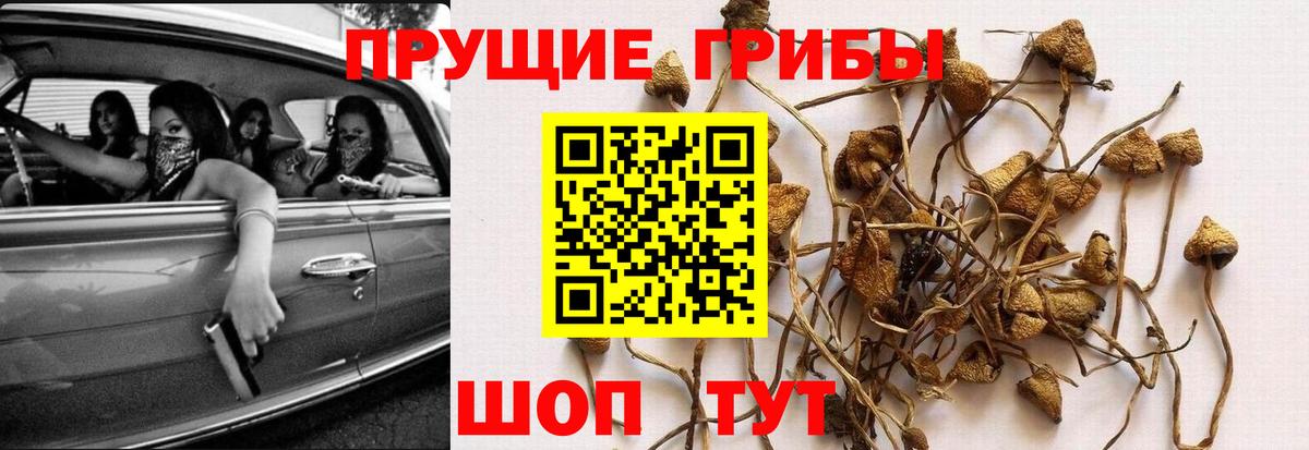 Галлюциногенные грибы Magic Shrooms Тимашёвск